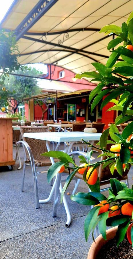 Camping Mas Du Sartre Saint Alban Auriolles ภายนอก รูปภาพ